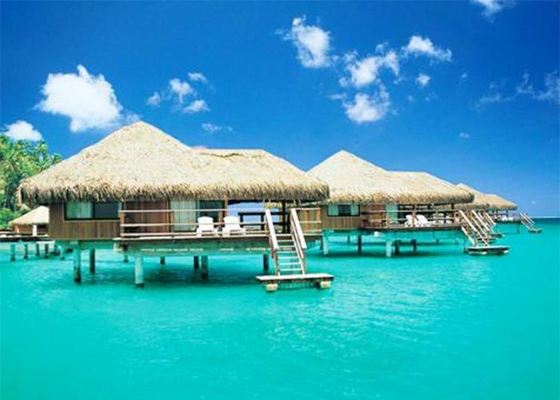 स्टील स्ट्रक्चर लकड़ी से सजाए गए घर, पूर्वनिर्मित बंगले होम किट